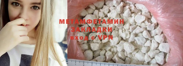 мет Алексин