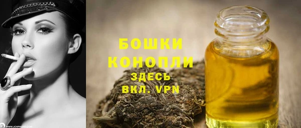прущие крисы Гусев