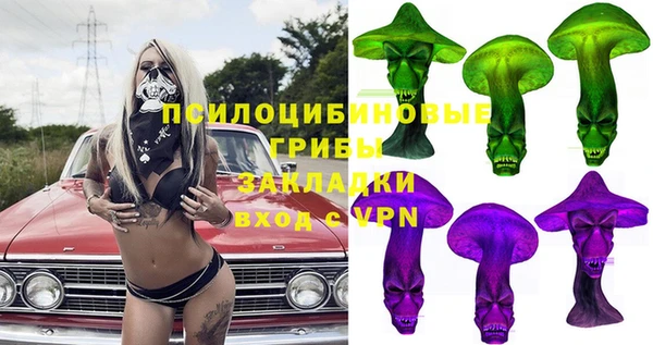 мет Алексин