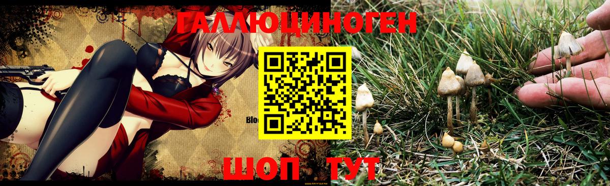 Псилоцибиновые грибы мицелий Ижевск