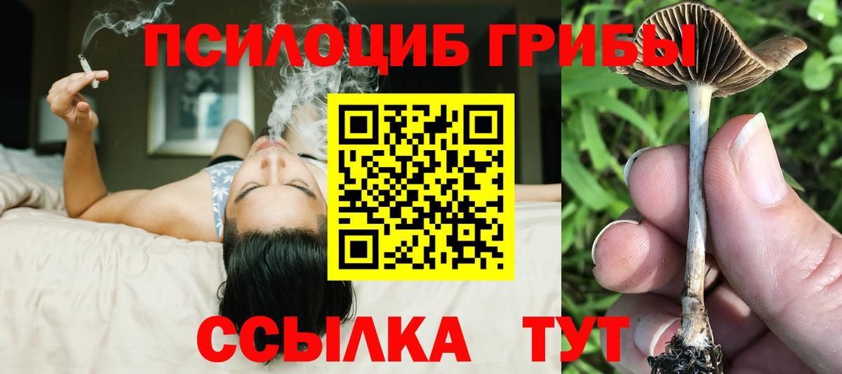 Ижевск  Псилоцибиновые грибы Magic Shrooms  Вход с VPN 