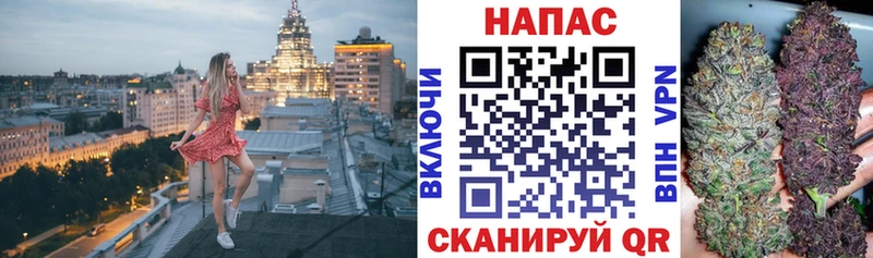 ОМГ ОМГ вход  купить   Ижевск  Шишки марихуана гибрид 