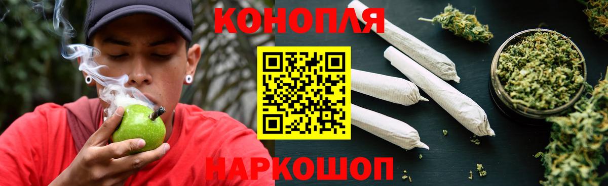 Бошки Шишки планчик Ижевск